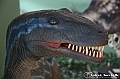 VBS_0888 - Dinosauri. Terra dei giganti